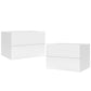 Wall Mounted Floating Nightstand with 2 Drawers