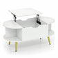 Lift Top Coffee Table with Hidden Compartment and Shelves