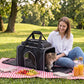 Rolling Pet Carrier with Wheels for Cats and Small Dogs