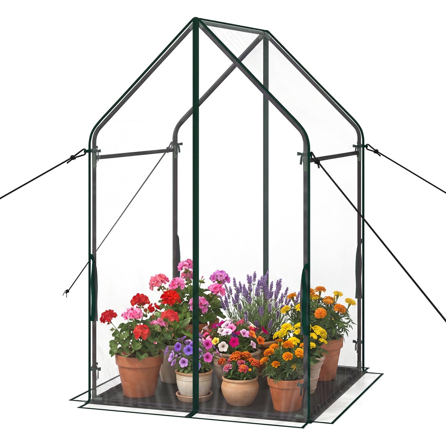 Mini Green House Metal Frame with Waterproof Bottom Mat and Wind Ropes