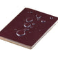 eTya Travel Waterproof Passport Holder | Transparent PVC ID and Credit Card Wallet
