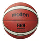Official Certification Basketball: Men's & Women's Training Ball