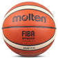 Official Certification Basketball: Men's & Women's Training Ball