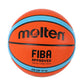 Official Certification Basketball: Men's & Women's Training Ball