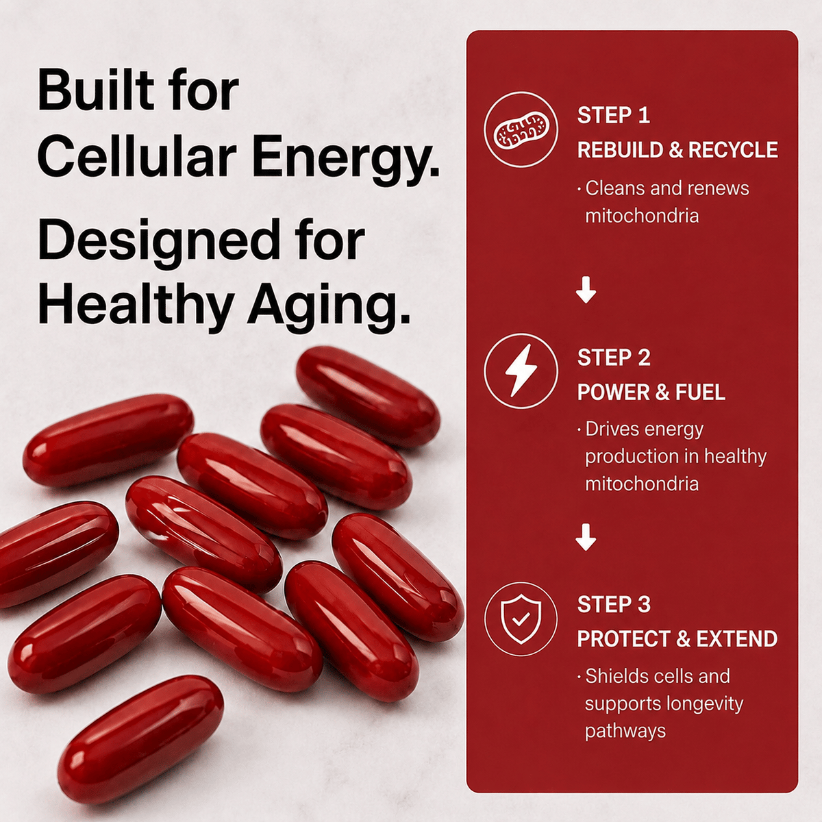Urolithin A Supplement Softgels 500mg for Cellular Renewal & Healthy Aging
