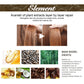 EELHOE Rosemary Essential Oil For Hair Care, Gentle And Nourishing Hair Care Oil