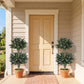 2 Pack 36" Artificial Double Ball Boxwood Topiary Tree with 41 Blossoms